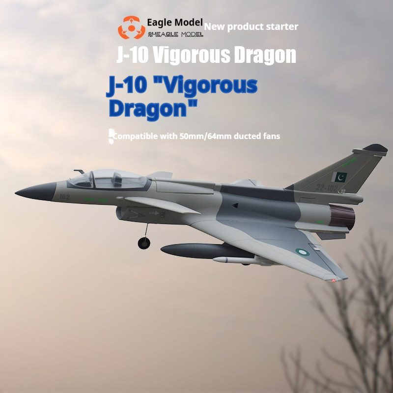리이글 모델 J 10 비고러스 드래곤 원격 조종 고정익 - Model Kit Expert 리뷰 및 가격